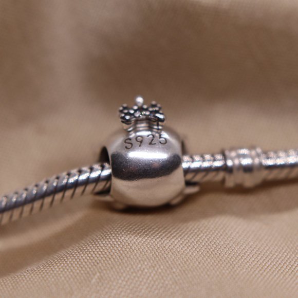 Pet Puppy Dog and Bone Bracelet Charm - S925 Sterling Silver Fits Pandora - Picture 6 of 6